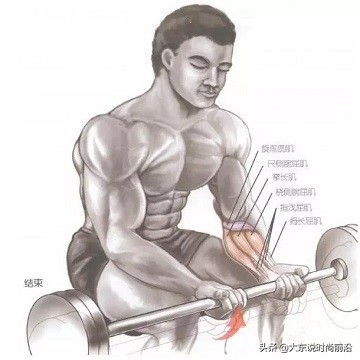 减脂健身计划一周表,减脂健身计划一周表图