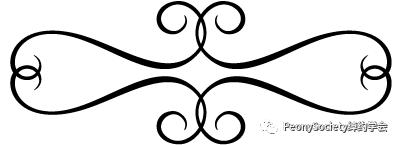 礼仪修养的八个方法,礼仪的正确修养方法