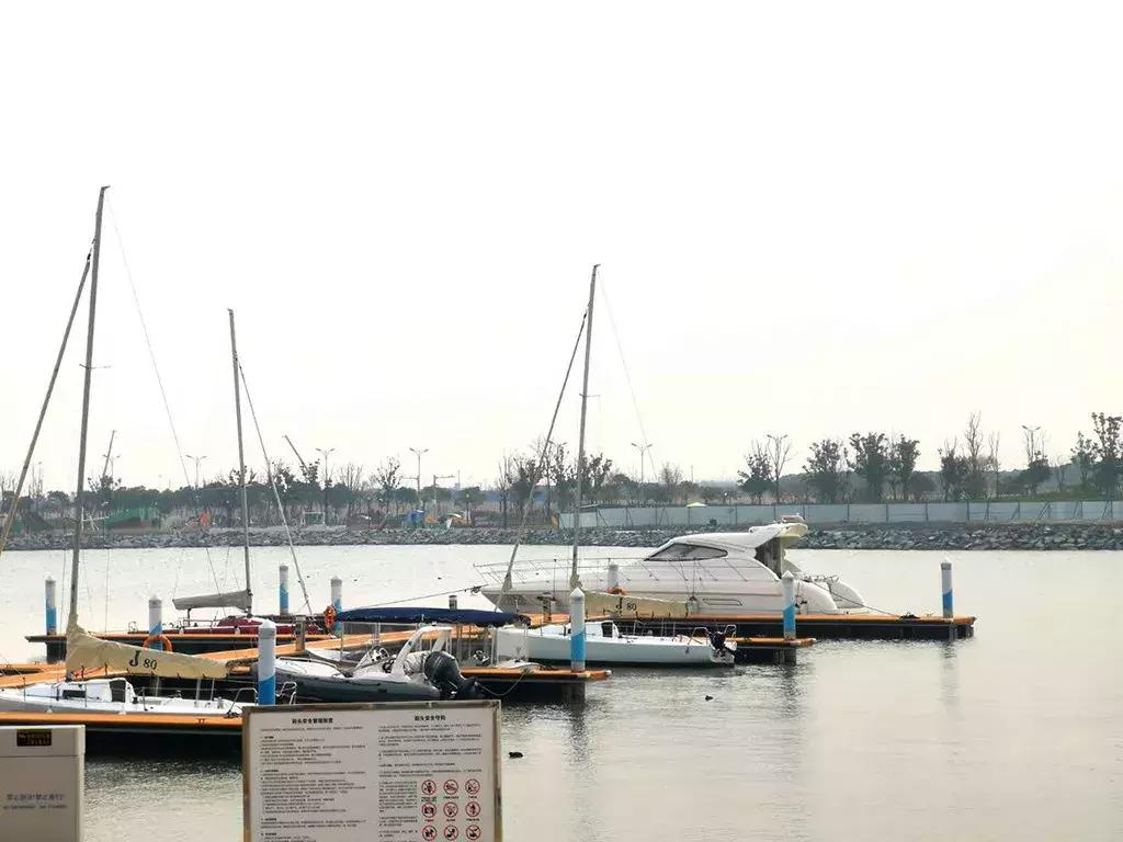 车价50万,音响值10万!这辆旅行车为何如此受追捧?