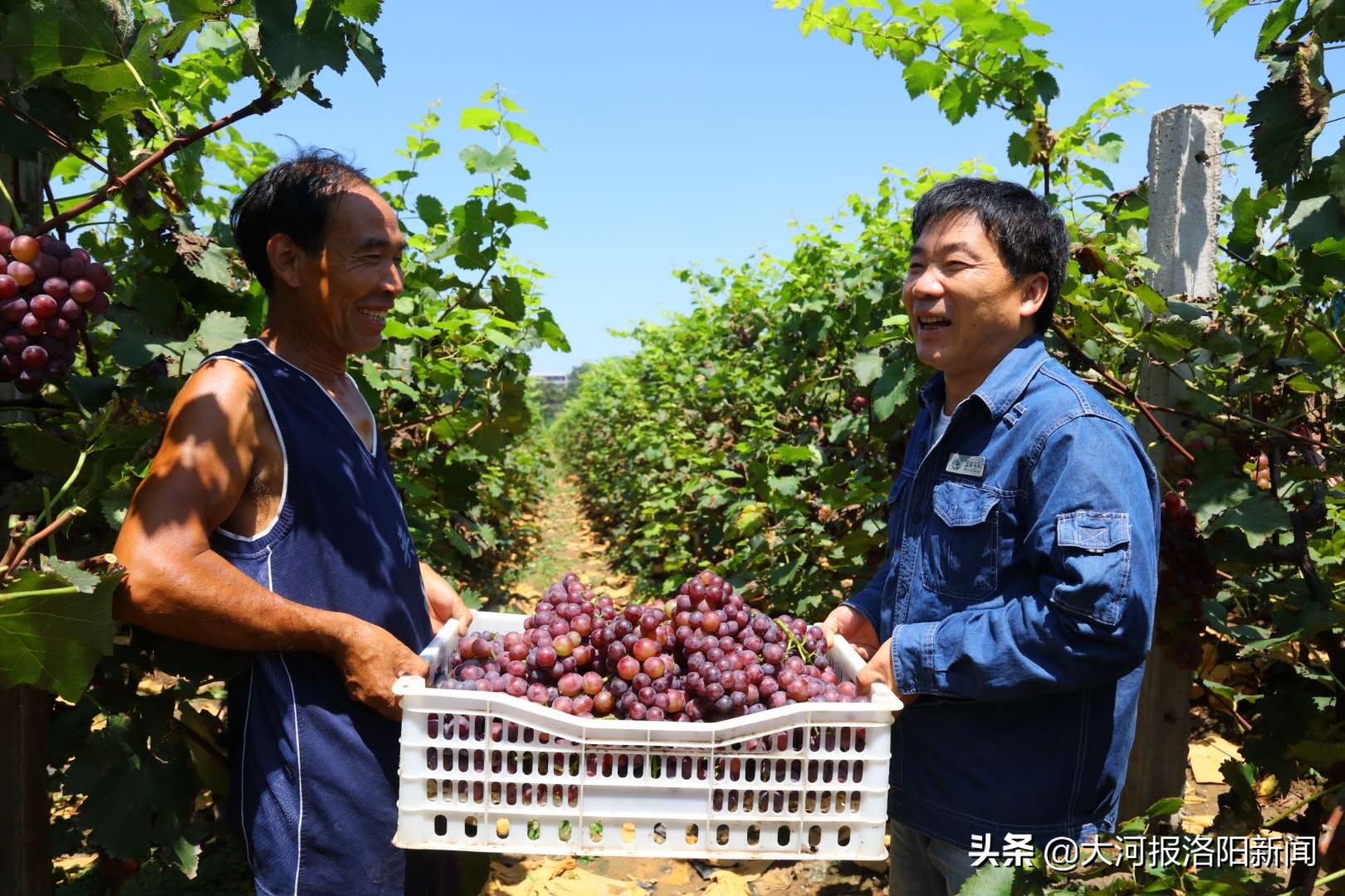 电网建设助力脱贫攻坚工作,乡镇供电公司脱贫攻坚工作纪实