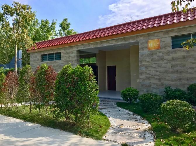 碧桂园助力美丽乡村建设,碧桂园助推乡村振兴奔向美好生活