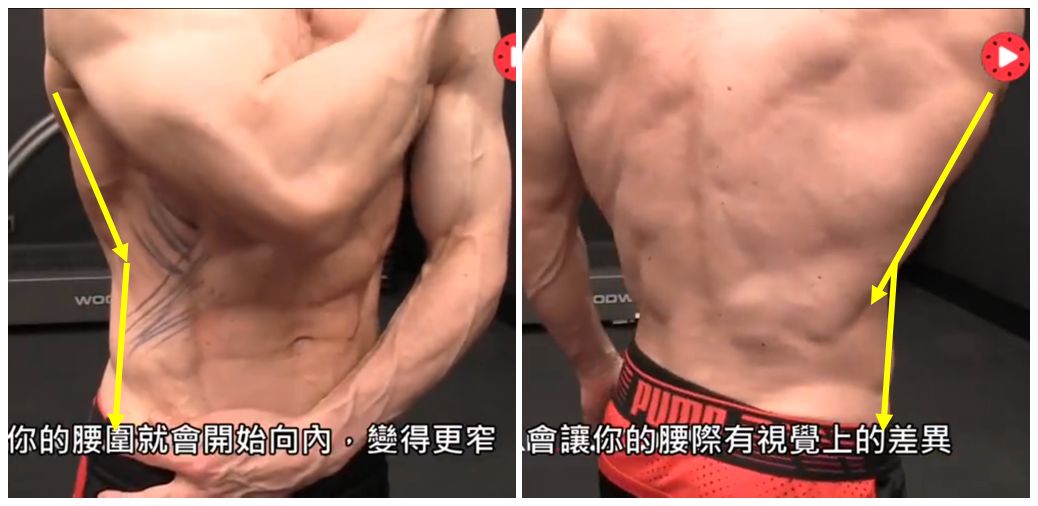 减掉腰间赘肉和肚子,一周减掉腰间赘肉