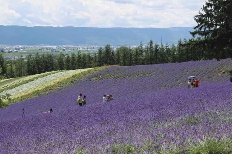 北海道七月的样子,北海道7月