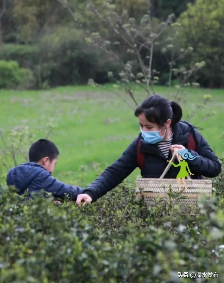 快收藏！溧水两条春日宝藏线路来了~