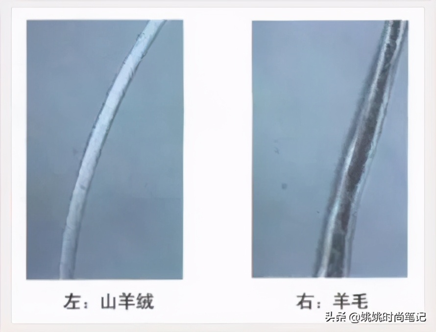 羊毛在羊身上出羊绒,羊毛出在羊身上案例