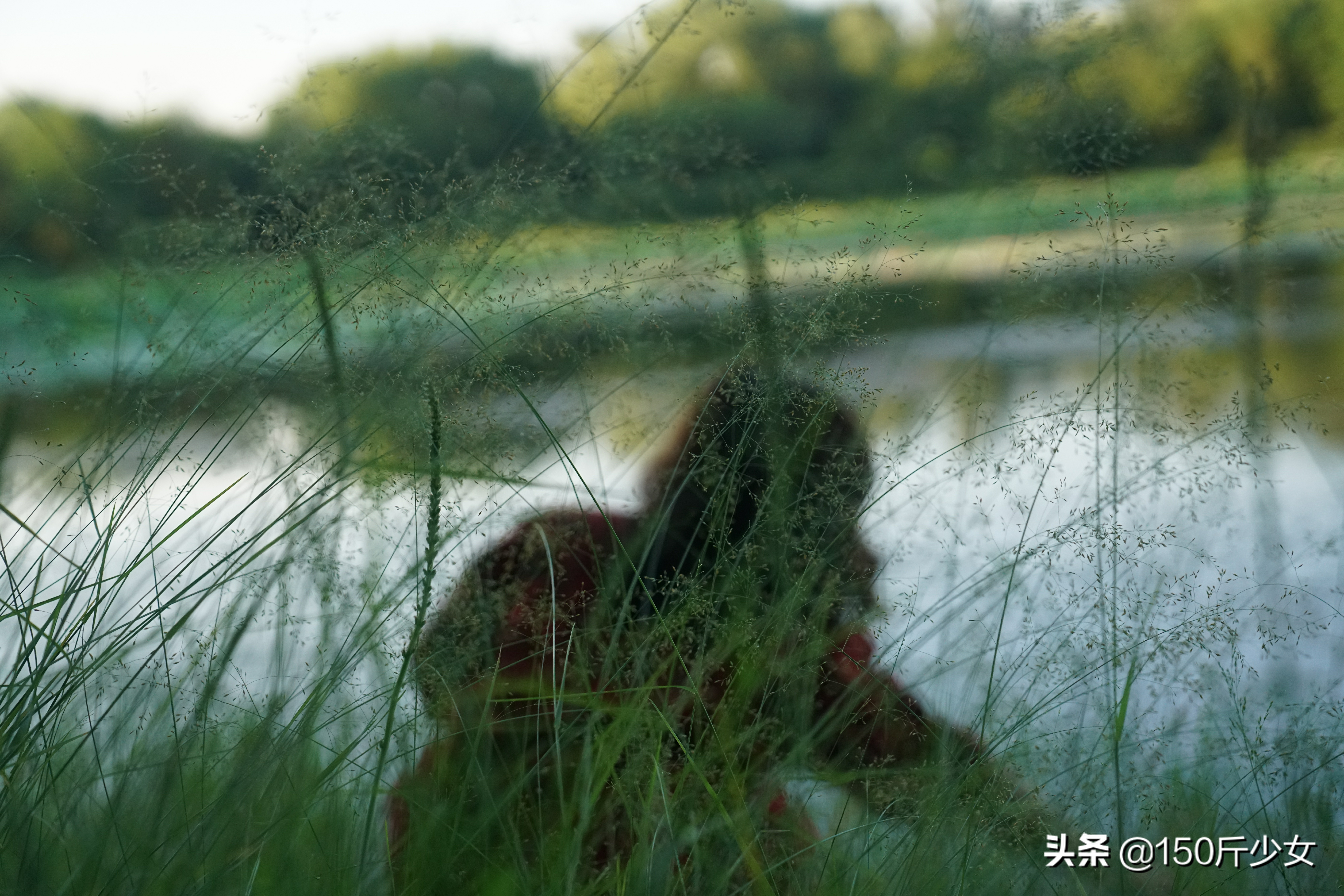 随心所欲玩转吉林！6天5晚人均1000自驾游，吉林现在也很美