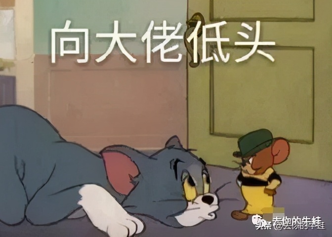 一个猪队友的反思:妈妈偷偷鸡、默默鸡是对的