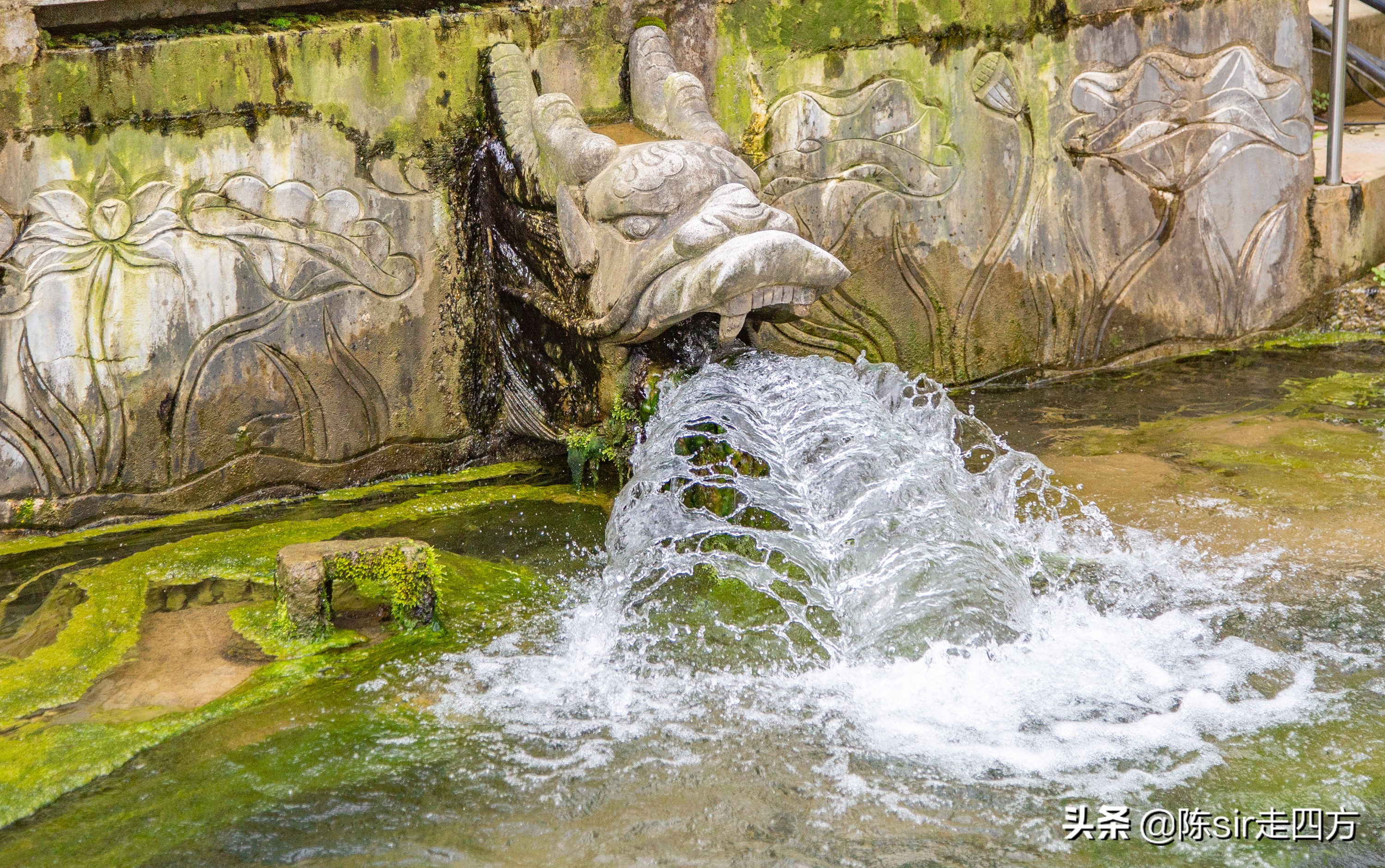 重庆到桐梓自驾游攻略路线,重庆到贵州桐梓三日游最佳路线图