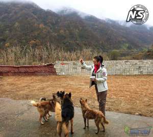 游钓篇｜渔在熊猫故里