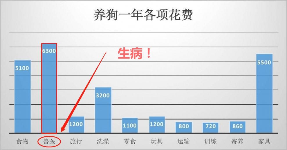 狗狗生病治疗贵不贵,狗狗50种常见疾病及治疗方法
