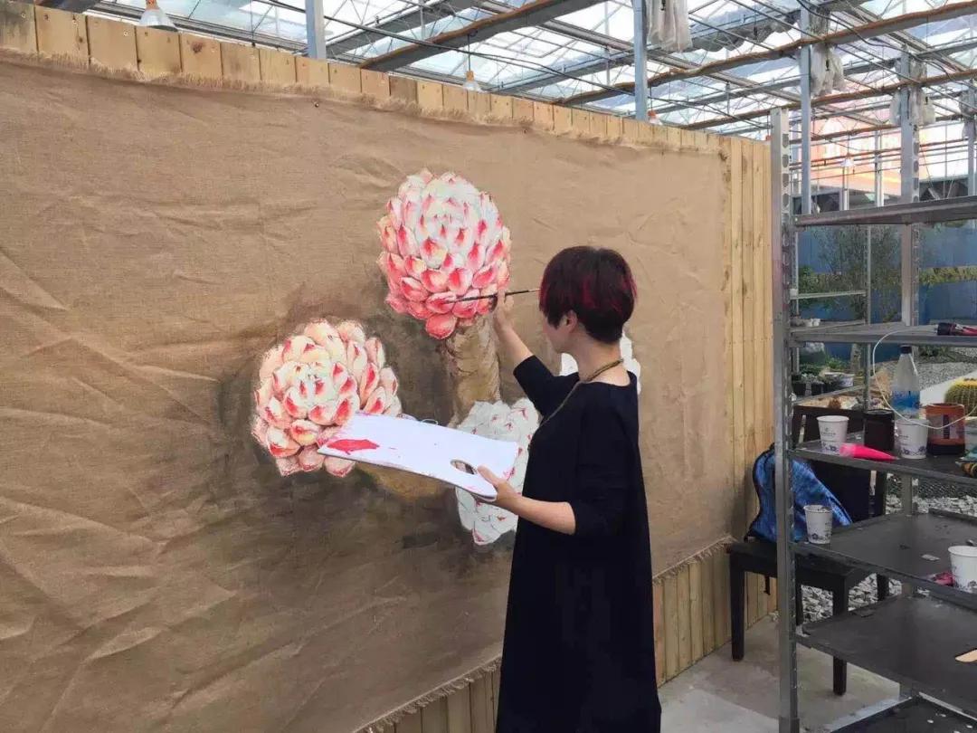 一棵多肉直播间,一元一棵多肉直播间