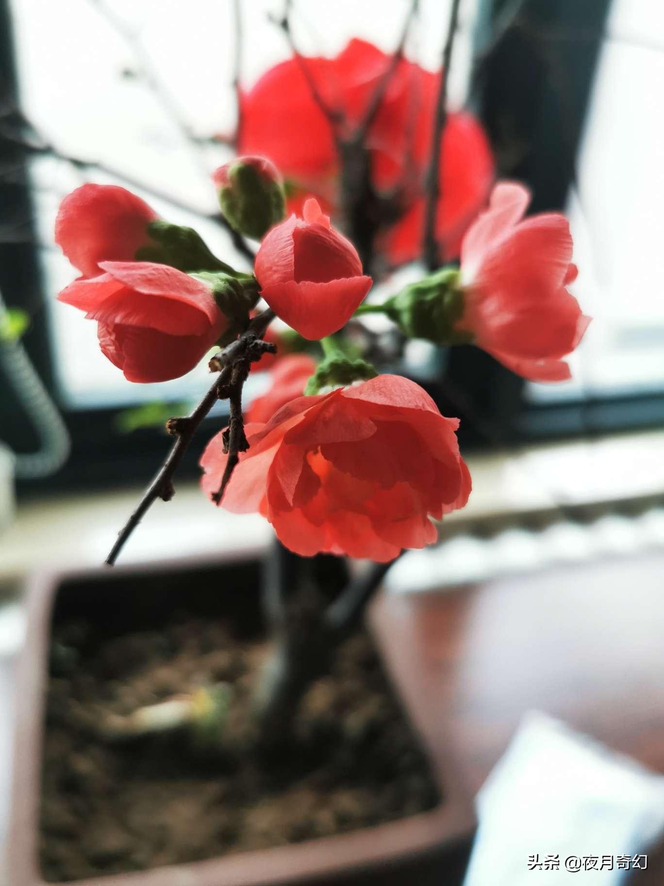 人生大智慧是学会借力,懂得借力便是圆满