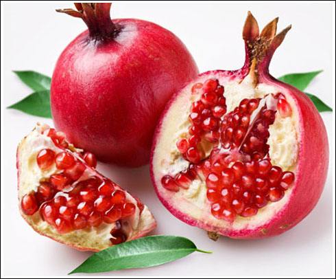 院子里的石榴树死了,院子里的石榴树能用百菌清吗