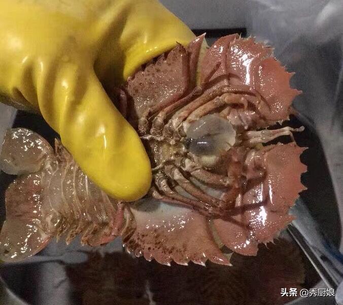 148元3斤大龙虾,花两百块钱买十五斤小龙虾