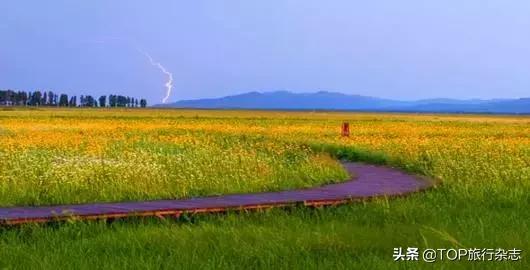 禁闭了半年多的“中国66号公路”，终于在6月开放！没去过不好意思称老司机