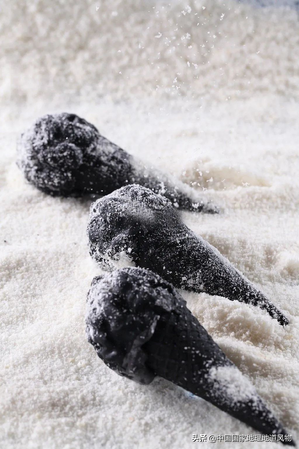 在东北冬天不穿貂,东北冬天可以没有貂