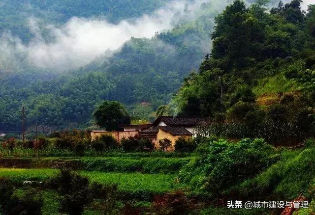 草树青翠虫鸣起，一枕清凉入梦来