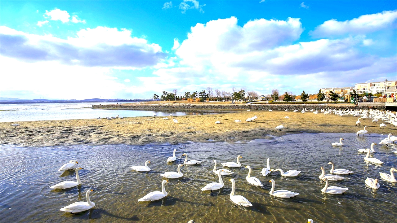 山东威海是宜居城市吗,山东威海宜居吗