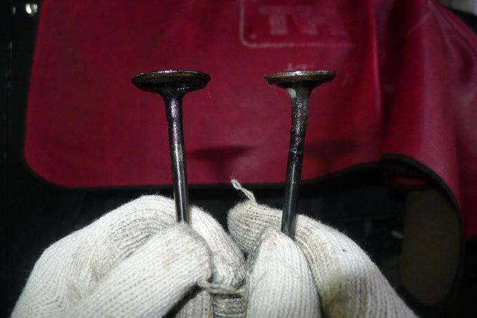 斯柯达7万哪款最值得买,斯柯达5万元新车报价