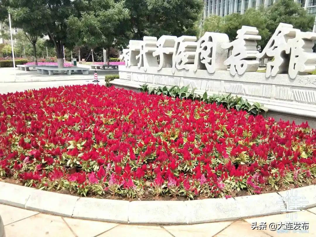 大连五一公园怎么样,大连新建三大主题公园