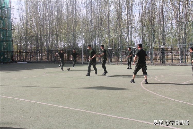 流浪计划视频,流浪手机电影预告