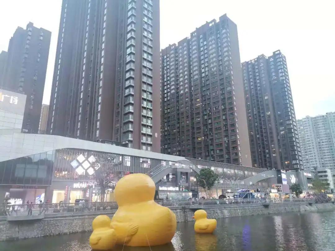 南阳月薪5000买什么样的房子,南阳的有钱人都住在哪