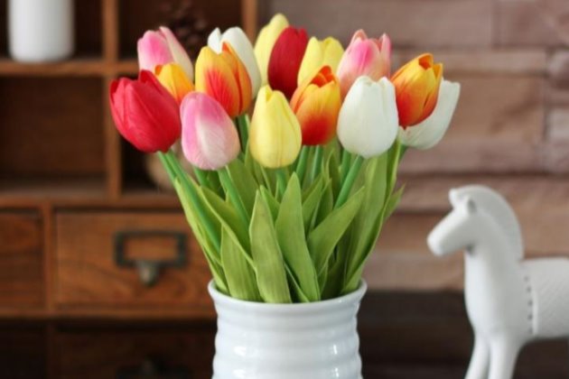 郁金香怎样养花开的久,郁金香怎么养枝叶又绿又硬