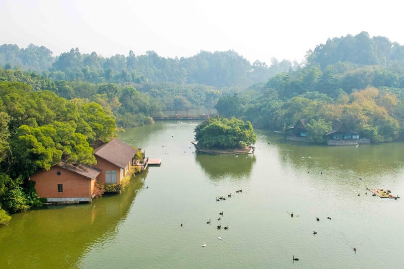 广州长隆野生动物世界旅游攻略,长隆野生动物世界攻略2-3天广州游