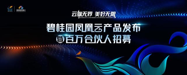 碧桂园凤凰云操作指南,碧桂园凤凰云实际优惠