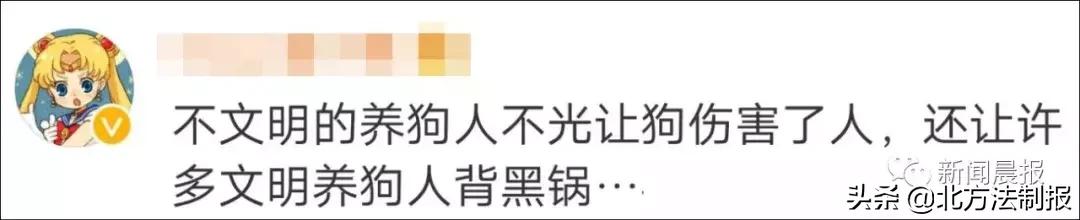 女子遛3只狗不牵绳！湖北男子遭狗撕咬*体下**受伤严重，缝了30多针