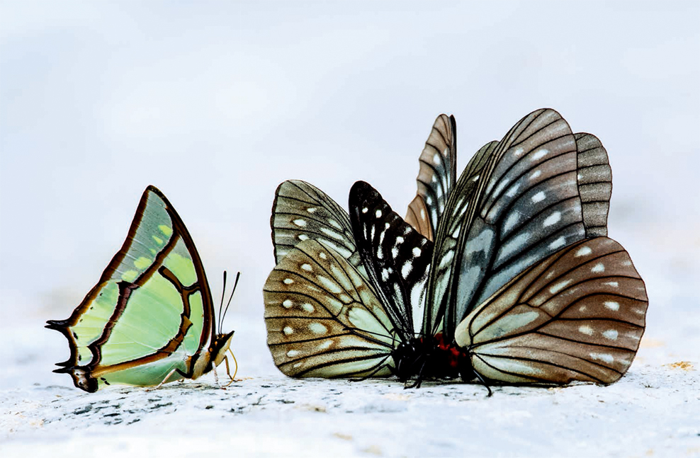 程斌摄影师,程斌摄影师作品