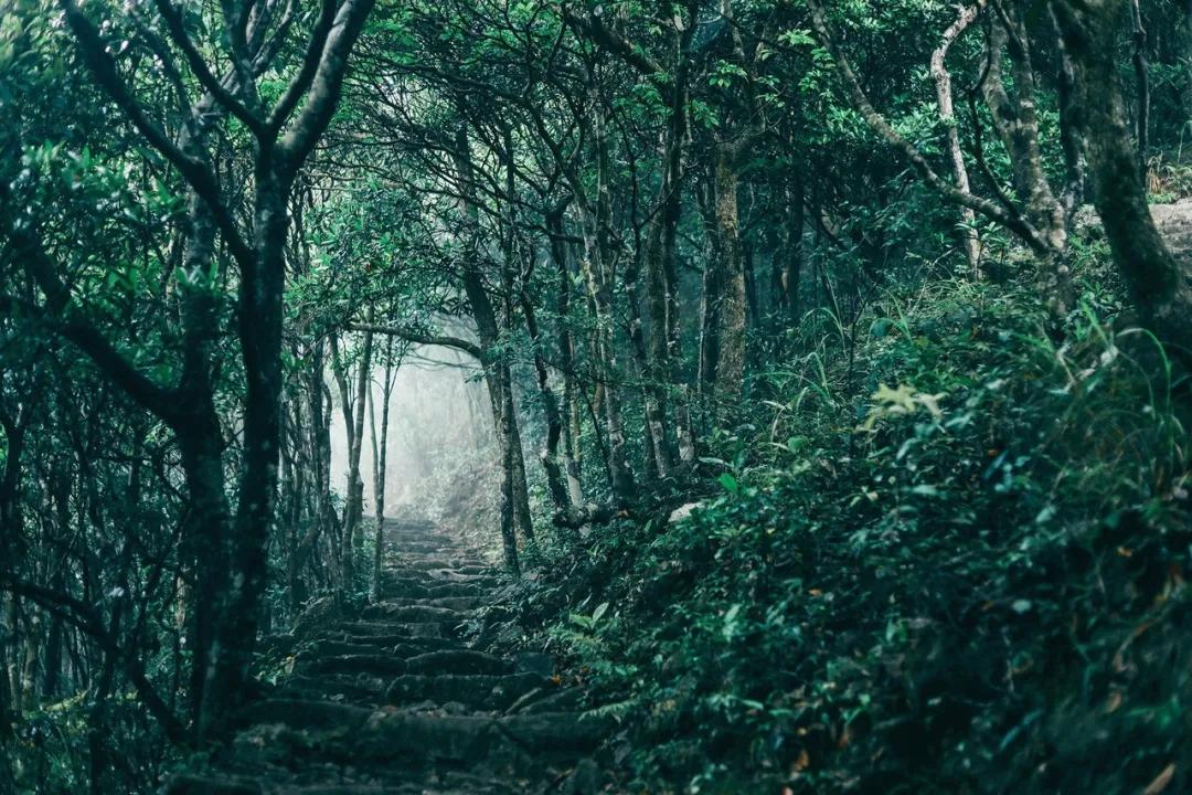 深圳值得打卡的建筑物,深圳最值得打卡的山