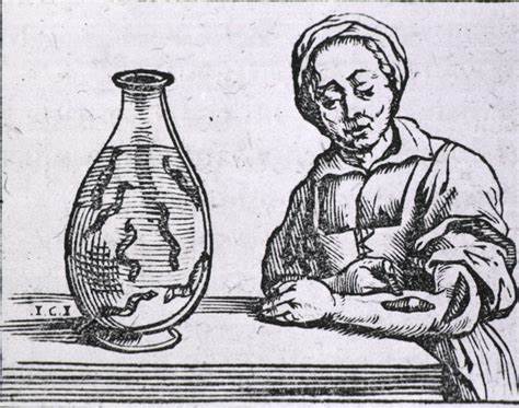 水蛭吸血可治病？结果几百年前的西方人因此导致梅毒的交叉感染