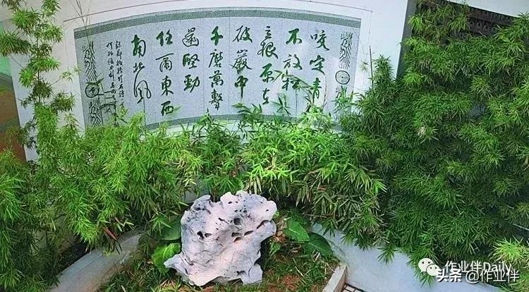 深圳百合外国语小升初题,深圳百合外国语学校小升初考题