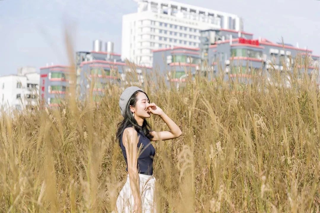 深圳十个小众打卡地,在深圳这些地方既小众又值得打卡