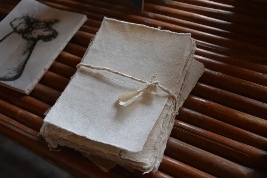 这是一个生机勃勃的地方关于它的故事才刚刚开始