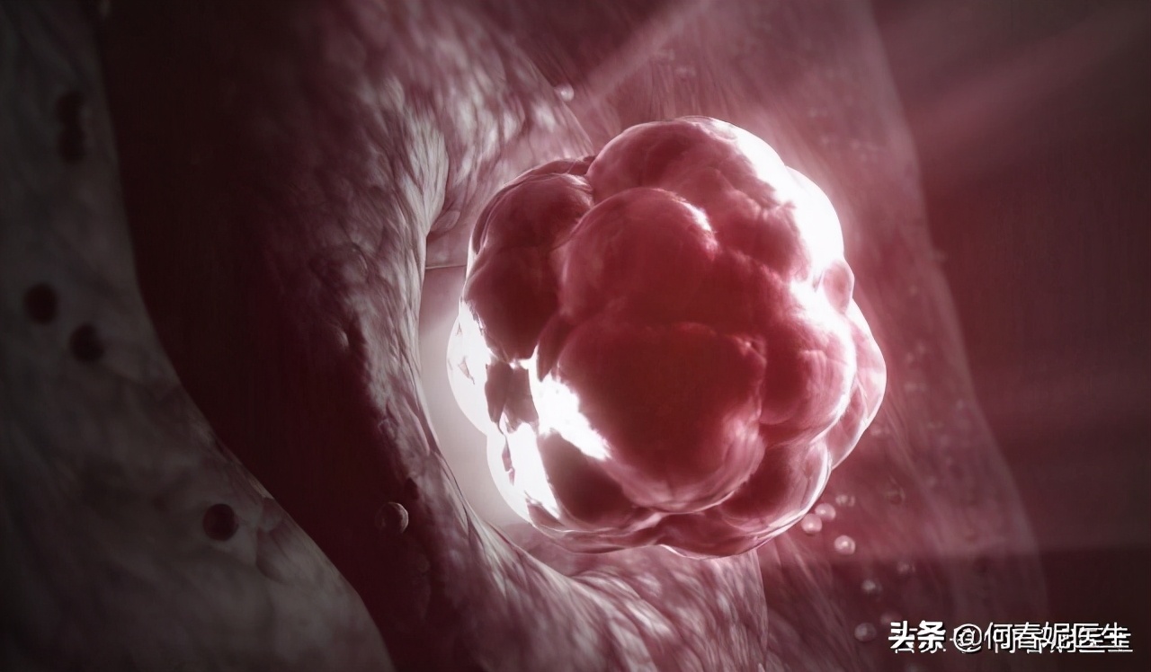 备孕怎么长出又大又圆的卵泡,还在羡慕别人怎么办