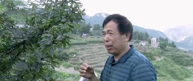 大叔收集废品变废为宝,重庆大叔创业