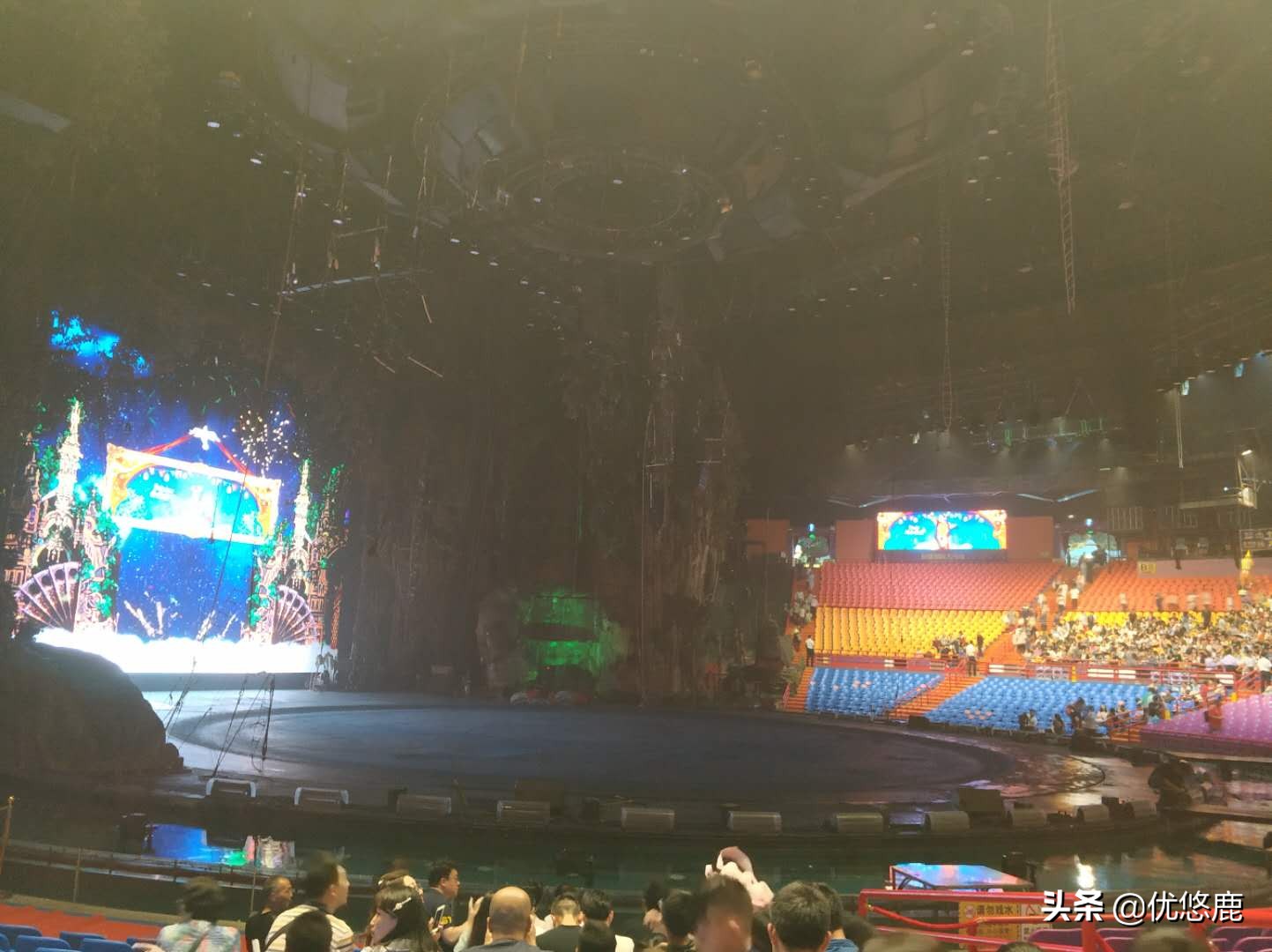 广州长隆野生动物园自驾大马戏,广州长隆野生动物园攻略马戏表演