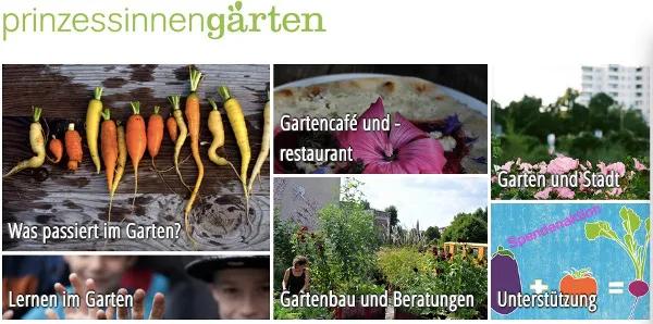 农庄餐饮怎么经营赚钱,怎么经营农家乐卖菜生意