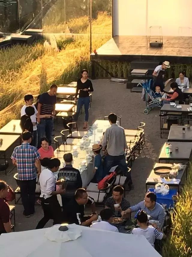 广州增城区宛若故里稻田里民宿,清远稻田田野民宿