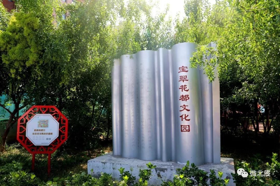 天津抗击新冠肺炎疫情先进典型 (全国抗击新冠肺炎疫情表彰哪些人)