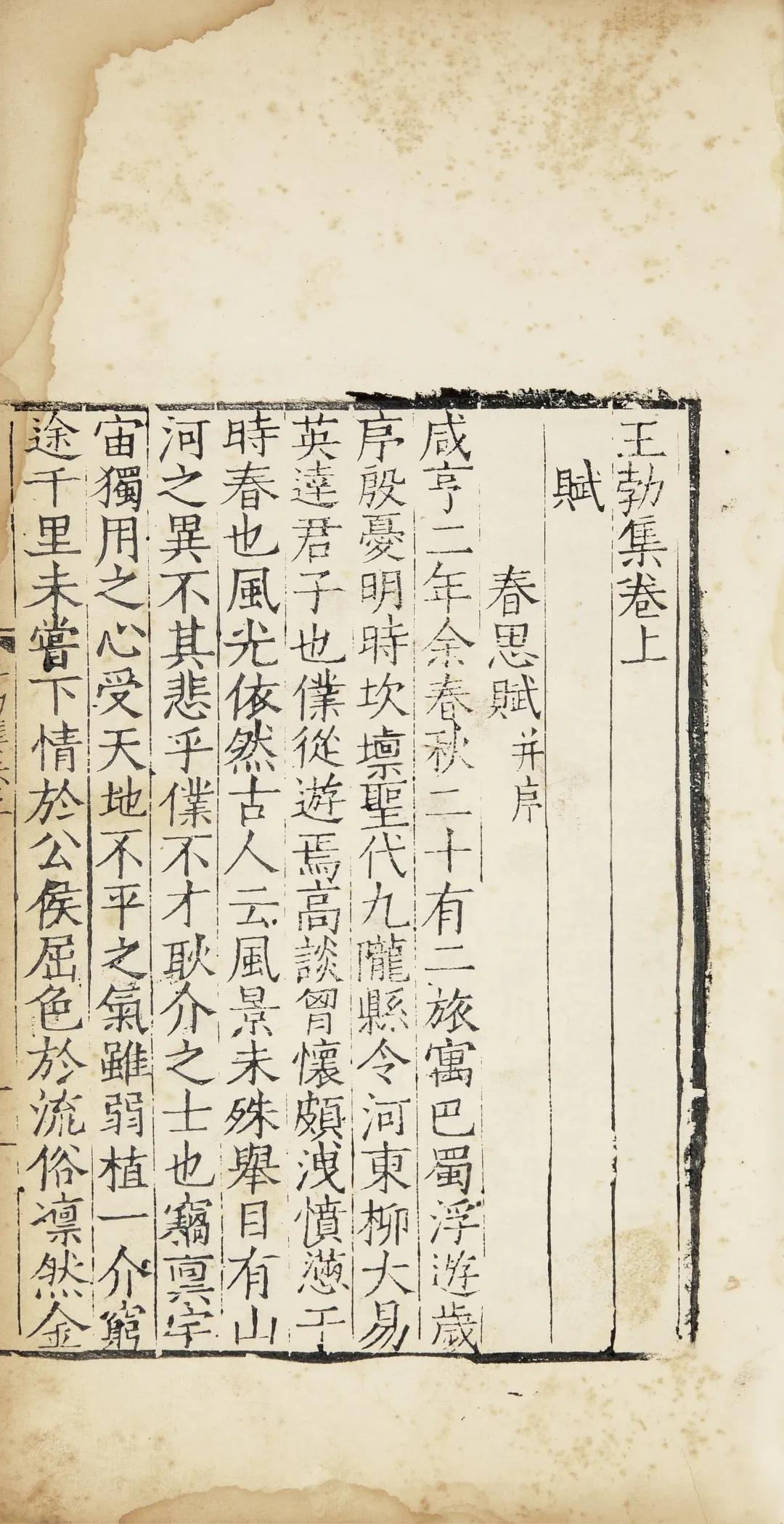 一念莲花开是什么意思,一念莲花开图片