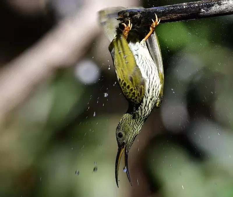雕弓阅读理解题及答案,雕弓读报