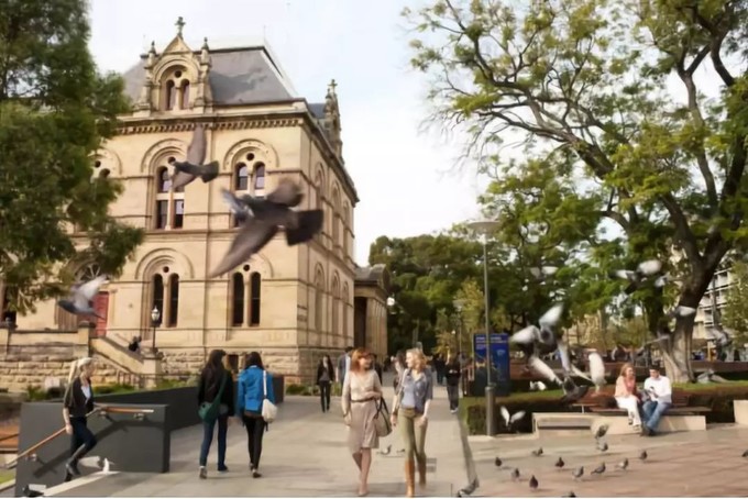 「求真」消费吓退国人的澳大利亚,竟然适合春节旅行?