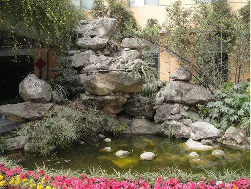 名校巡礼,名校巡礼视频