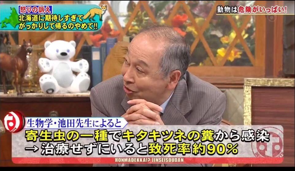 北海道建议去哪里,北海道要准备什么