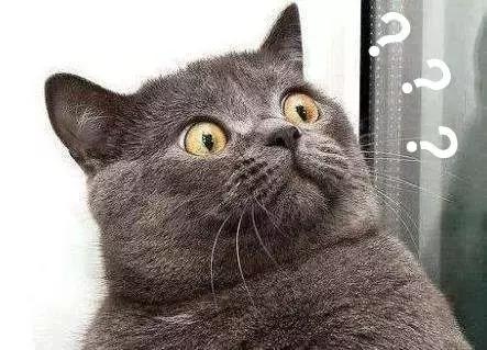 ray是激素面膜吗,ray面膜曝光有激素