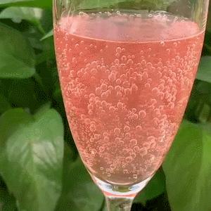 多亏这几块钱的快乐,最近我每天都幸福得冒泡