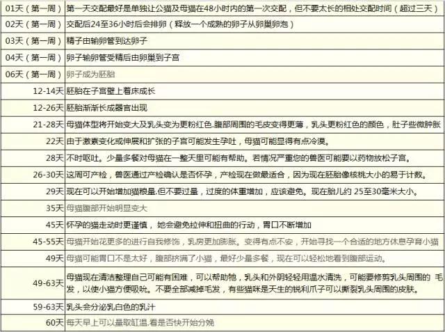 怎么判断猫咪怀孕了还是假孕,怎样判断猫咪是否怀孕初期症状